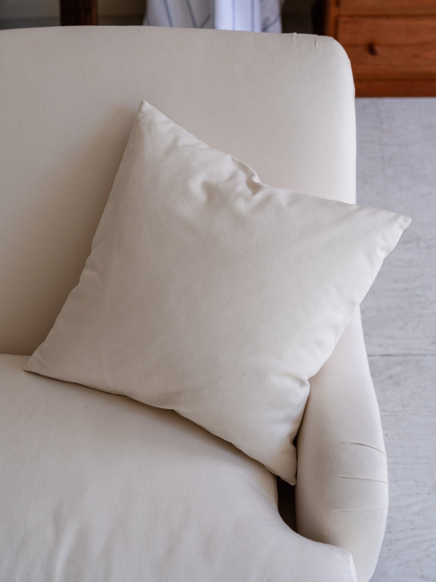 Throw Pillows