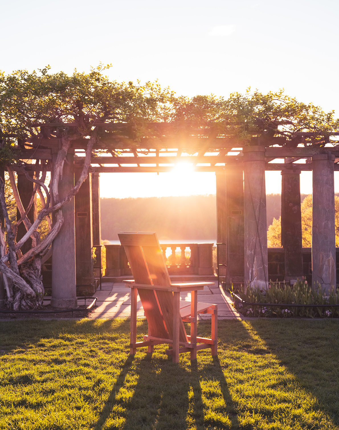 Wave Hill Chair